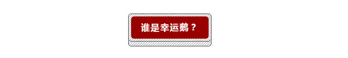 2024澳门2024免费原料